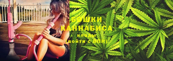 твердый Коряжма