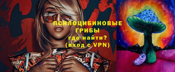 тгк Аркадак