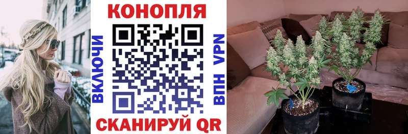 Конопля LSD WEED  Салехард 